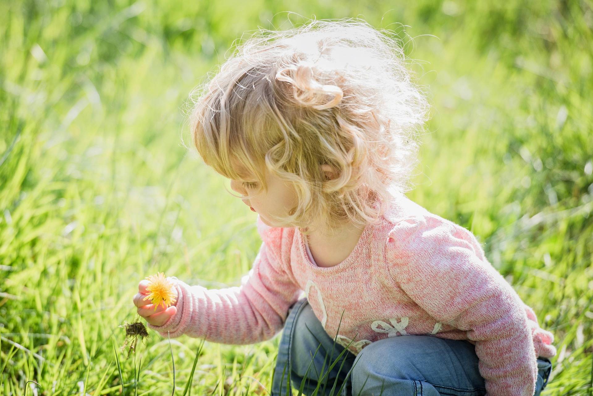 Quelle: pixabay.com / timkraaijvanger, https://pixabay.com/de/photos/kind-kleinkind-s%c3%bc%c3%9f-blondine-blume-3089903/ Kind hat eine Löwenzahnblume in der Hand